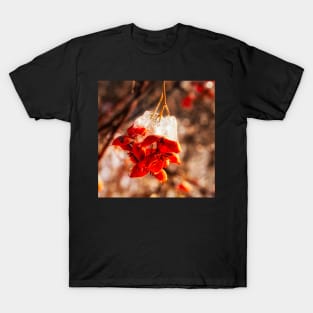 Fire and Ice Bittersweet T-Shirt